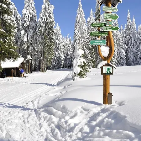 ホテル Waldhotel Rennsteighof *