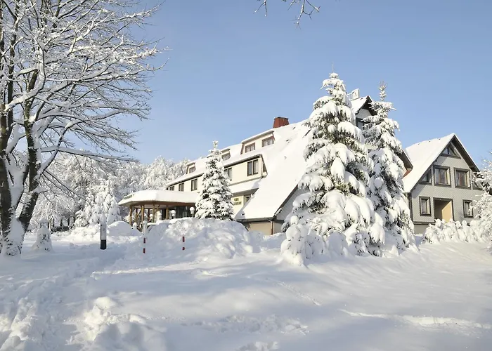 Waldhotel Rennsteighof Otel