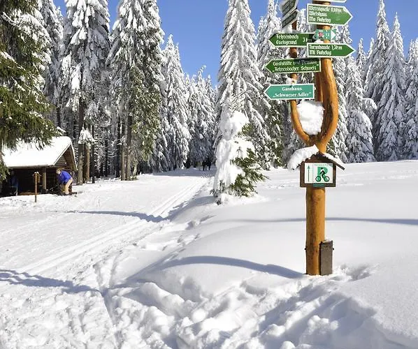 Hotel Waldhotel Rennsteighof *